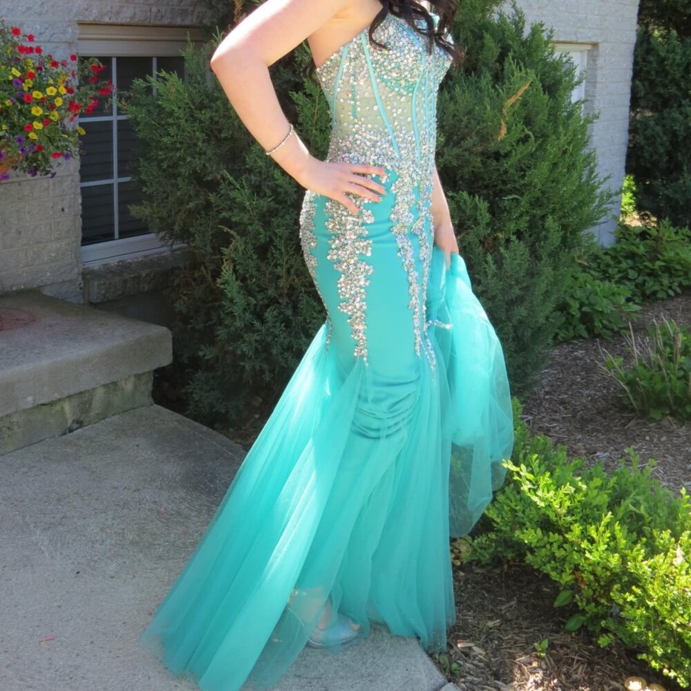 Prom Dress or Evening Gown
